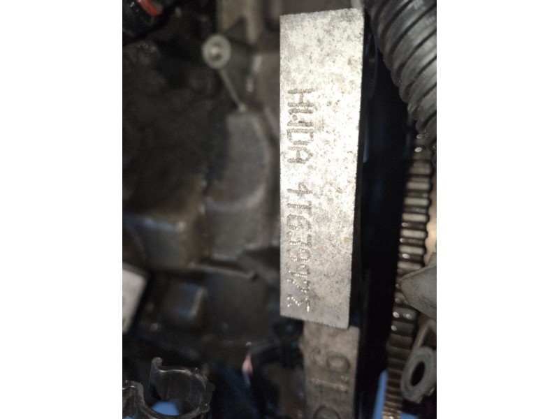 Recambio de motor completo para ford focus berlina (cap) hwda referencia OEM IAM HWDA  