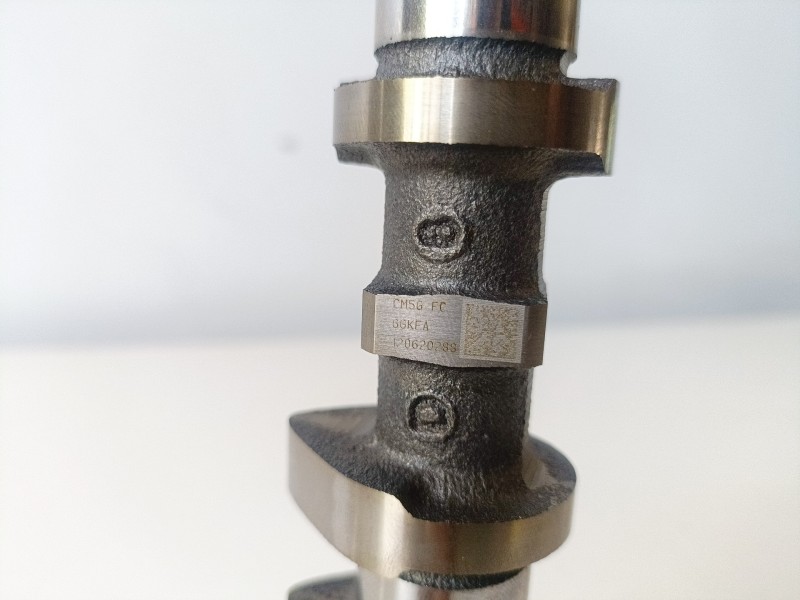 Recambio de arbol de levas para ford focus sportbreak (cew) m1da referencia OEM IAM   