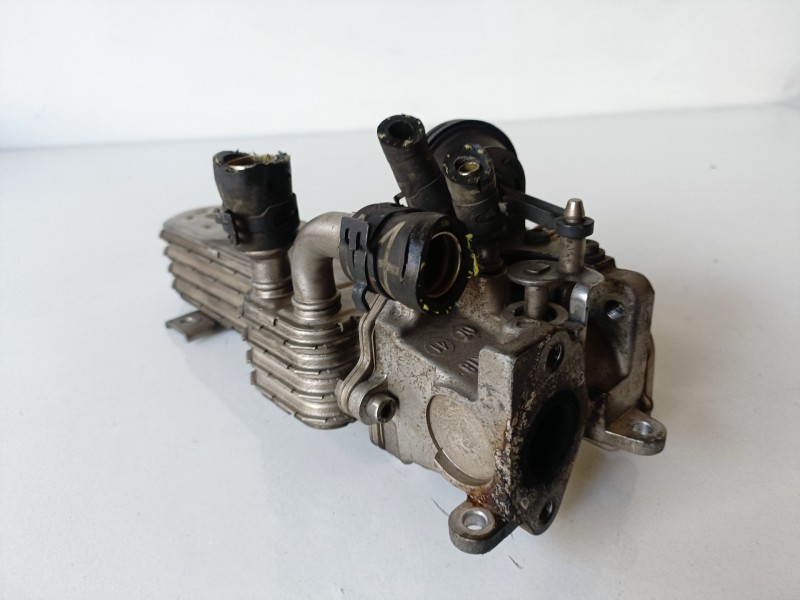 Recambio de enfriador egr para volkswagen golf v (1k1)(10.2003) bkd referencia OEM IAM 03G131513J  
