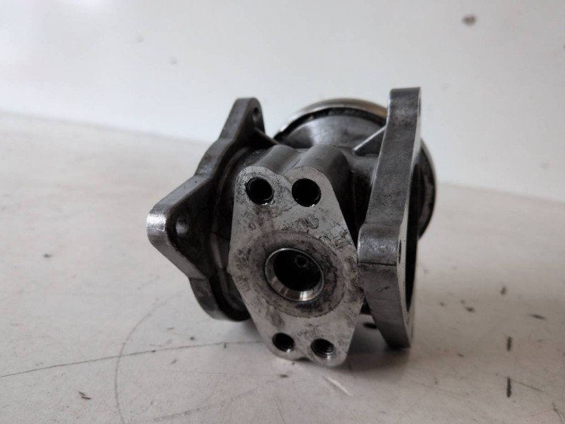 Recambio de valvula egr para volkswagen golf v (1k1)(10.2003) bkd referencia OEM IAM 038131501AN  