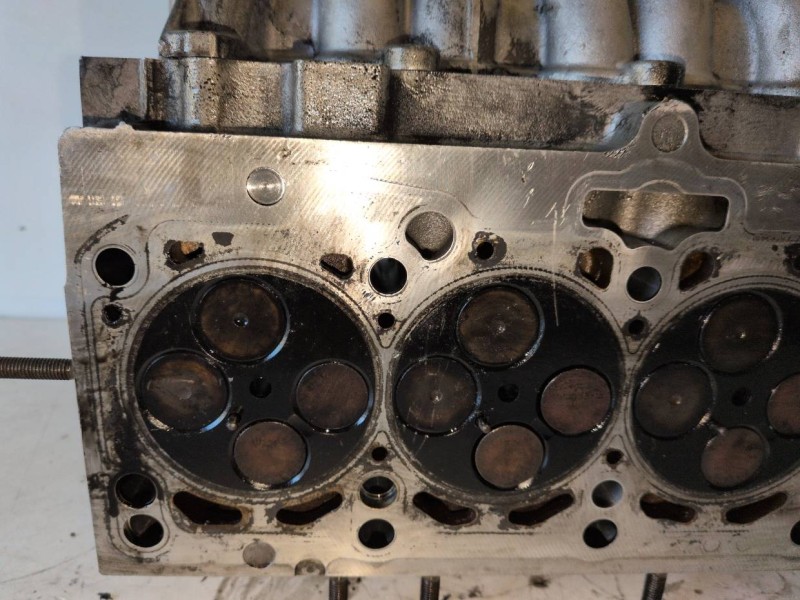Recambio de culata para volkswagen golf v (1k1)(10.2003) bkd referencia OEM IAM 03G103373A  