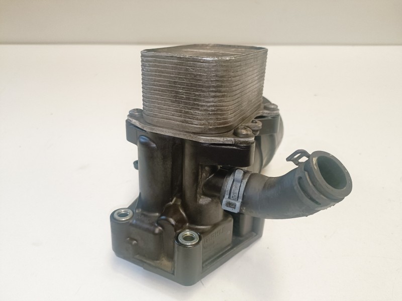 Recambio de enfriador aceite motor para seat exeo berlina (3r2) cjc referencia OEM IAM   