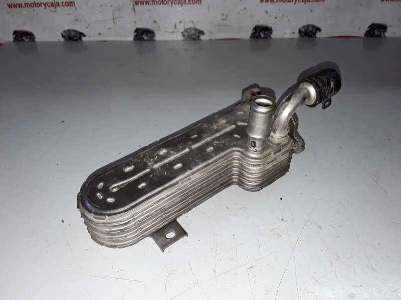 Recambio de enfriador egr para volkswagen golf v (1k1)(10.2003) bkd referencia OEM IAM 03G131513J  