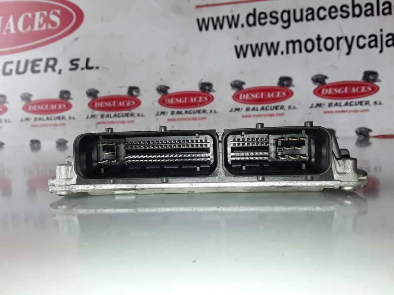 Recambio de centralita motor uce para seat ibiza (6l1) azq referencia OEM IAM 03E906033P/5WP4019605  