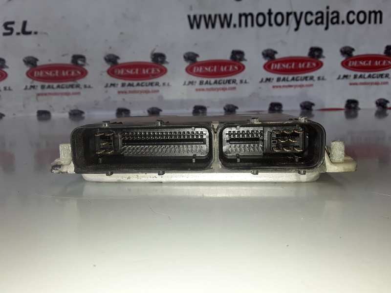 Recambio de centralita motor uce para seat leon (1m1) ahf referencia OEM IAM 0281010229/038906012BT  