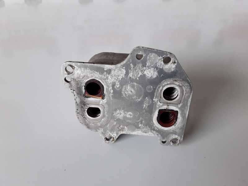 Recambio de enfriador aceite motor para volkswagen crafter furgón (sy/sx) referencia OEM IAM 03N117021  