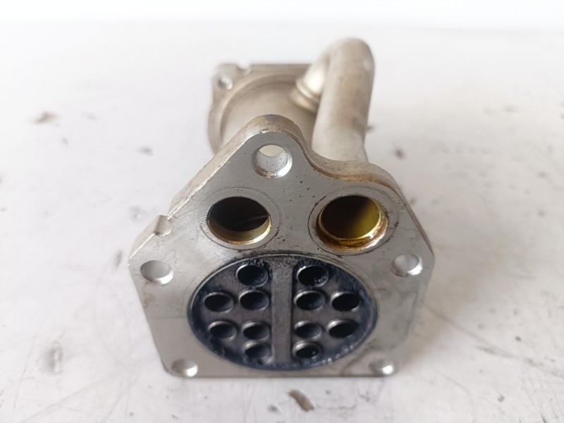Recambio de enfriador egr para renault kangoo i (f/kc0) k9k714 referencia OEM IAM 8200729079  