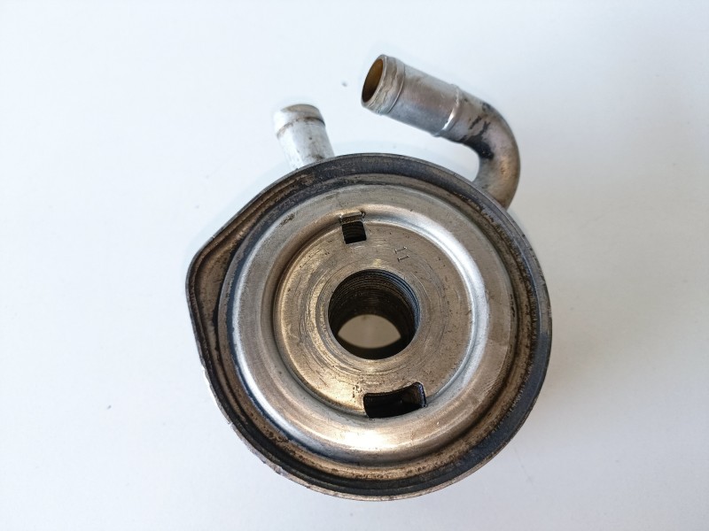 Recambio de enfriador aceite motor para renault kangoo i (f/kc0) k9k702 referencia OEM IAM   
