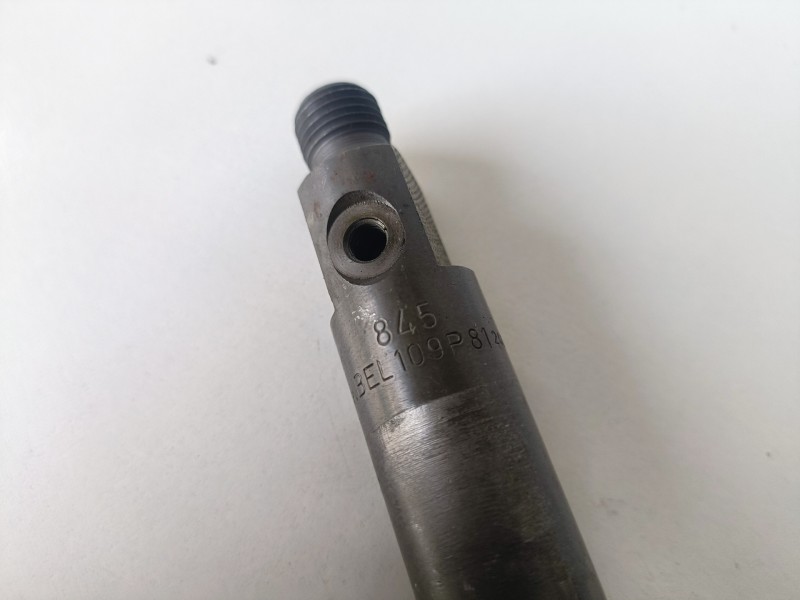 Recambio de inyector para citroen jumper camión 814043 referencia OEM IAM 109P81  