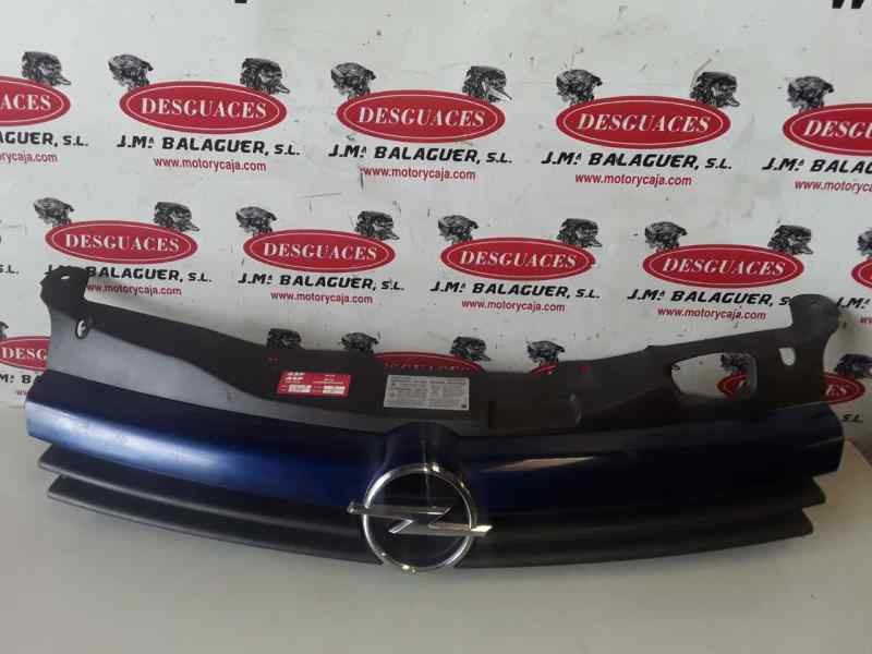 Recambio de rejilla delantera para » otros... modelos referencia OEM IAM   