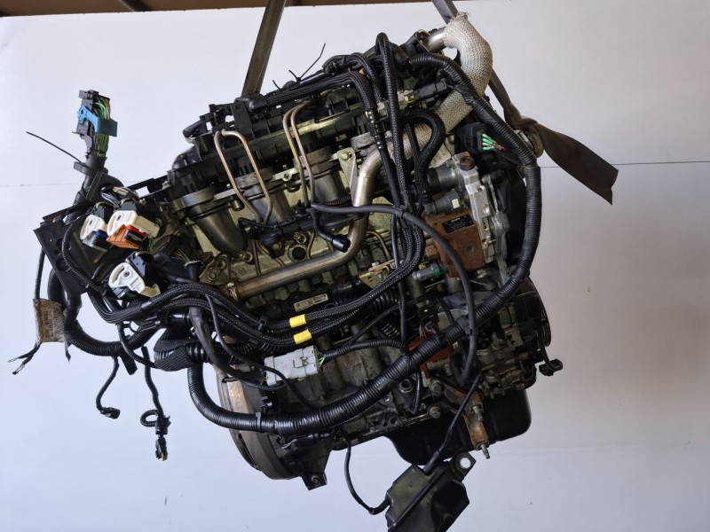 Recambio de motor completo para ford focus berlina (cap) g8da referencia OEM IAM G8DA  