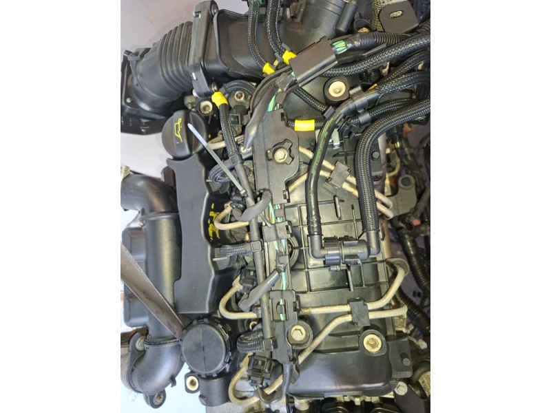 Recambio de motor completo para ford focus berlina (cap) g8da referencia OEM IAM G8DA  