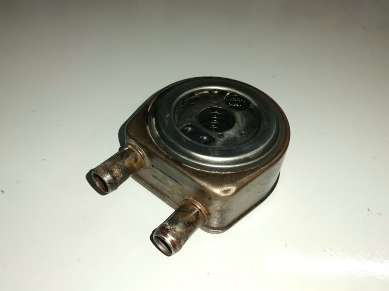 Recambio de enfriador aceite motor para renault scenic ii (jm) f9q804 referencia OEM IAM   