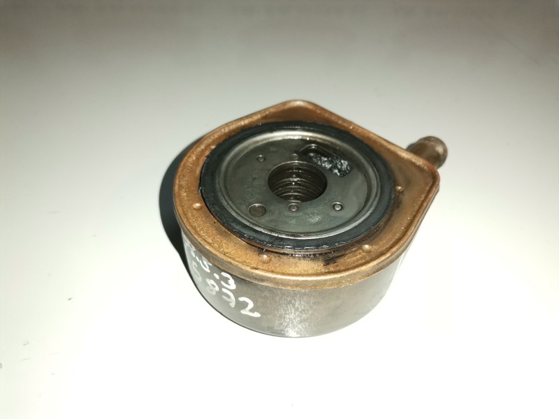 Recambio de enfriador aceite motor para renault scenic ii (jm) f9q804 referencia OEM IAM   