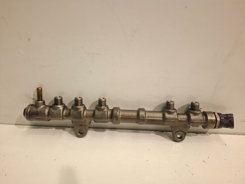 Recambio de rampa inyectora para fiat ii panda (271) van 169a5000 referencia OEM IAM 0445214239  